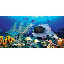 Biggies Wall Mural, 40 inch; x 80 inch;, Ocean Reef