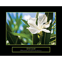 Crystal Art Gallery Framed Art, Dream, 16 inch; x 20 inch;, Green/White