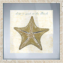 PTM Images Framed Art, Starfish II, 17 1/2 inch;H x 17 1/2 inch;W