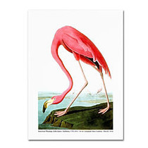 Trademark Global American Flamingo 1834 Gallery-Wrapped Canvas Print By John James Audubon, 24 inch;H x 32 inch;W