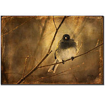 Trademark Global Backlit Birdie Being Buffeted Gallery-Wrapped Canvas Print By Lois Bryan, 22 inch;H x 32 inch;W