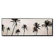Trademark Global Black And White Palms Gallery-Wrapped Canvas Print By Preston, 14 inch;H x 47 inch;W
