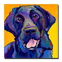 Trademark Global Buddy Gallery-Wrapped Canvas Print By Pat Saunders-White, 14 inch;H x 14 inch;W