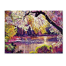 Trademark Global Central Park Spring Pond Gallery-Wrapped Canvas Print By David Lloyd Glover, 24 inch;H x 32 inch;W