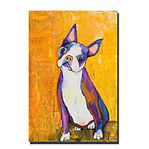 Trademark Global Cosmo Gallery-Wrapped Canvas Print By Pat Saunders-White, 16 inch;H x 24 inch;W