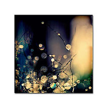 Trademark Global Fairies At Nighttime Gallery-Wrapped Canvas Print By Beata Czyzowska-Young, 24 inch;H x 24 inch;W