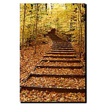 Trademark Global Fall Stairway Gallery-Wrapped Canvas Print By Kurt Shaffer, 18 inch;H x 24 inch;W