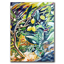 Trademark Global Lemon Tree Gallery-Wrapped Canvas Print By Colleen Proppe, 14 inch;H x 19 inch;W