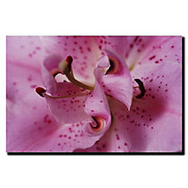 Trademark Global Lily Abstract Gallery-Wrapped Canvas Print By Kurt Shaffer, 14 inch;H x 19 inch;W