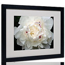 Trademark Global Perfect Peony Matted Framed Canvas Print By Kurt Shaffer, 16 inch;H x 20 inch;W