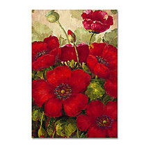 Trademark Global Poppies II Gallery-Wrapped Canvas Print By Masters Fine Art, 22 inch;H x 32 inch;W