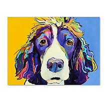 Trademark Global Sadie Gallery-Wrapped Canvas Print By Pat Saunders-White, 26 inch;H x 32 inch;W