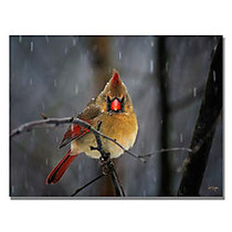 Trademark Global Snowy Cardinal Gallery-Wrapped Canvas Print By Lois Bryan, 18 inch;H x 24 inch;W