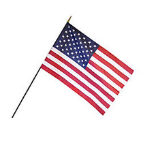 Annin and Company Empire Brand U.S. Classroom Flag, 12 inch; x 18 inch;, Grades Pre-K - 12