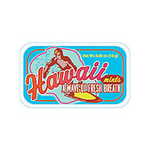 AmuseMints; Destination Mint Candy, Hawaii Surfer, 0.56 Oz Tin, Pack Of 24