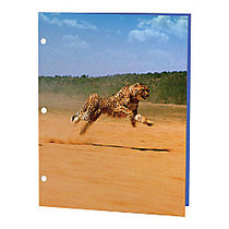 Kittrich 3-D Motion Graphics Fashion Portfolio, 8 1/2 inch; x 11 inch;, Wildlife