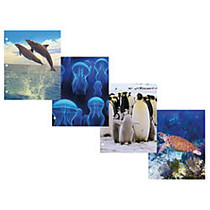 Kittrich Marine 3D 2-Pocket Poly Portfolio, 8 1/2 inch; x 12 inch;, Assorted Colors