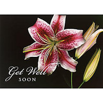 All-Occasion Cards, 5 5/8 inch; x 7 7/8 inch;, Lily Greetings, 30% Recycled, Box Of 25