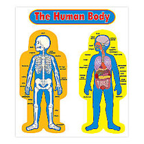 Carson-Dellosa Curriculum Bulletin Board Set &mdash; Child-Size Human Body