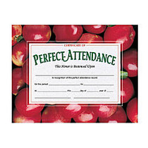 Hayes Publishing Perfect Attendance Certificates, Apples, 8 1/2 inch; x 11 inch;, Multicolor, Pack Of 30