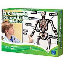 Learning Resources; 3-D Skeleton Demonstration Magnets, 36 inch;', Grades 1-8