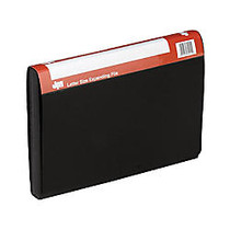 Pendaflex 13 Pocket Expanding Files - Letter - 8 1/2 inch; x 11 inch; Sheet Size - 4 inch; Expansion - 13 Internal Pocket(s) - Polypropylene - Black - 1 Each