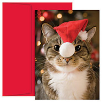 Great Papers! Holiday Greeting Cards, 5 5/8 inch; x 7 7/8 inch;, Festive Cat, Pack Of 18