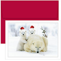 Great Papers! Holiday Greeting Cards, 5 5/8 inch; x 7 7/8 inch;, Santa Bear Hats, Pack Of 18