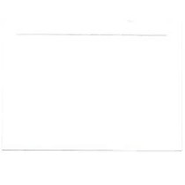 JAM Paper; Blank Cards, 3 1/2 inch; x 4 7/8 inch;, With Panel Border, White, Pack Of 100