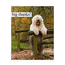 Retrospect Thank You Note Cards With Envelopes, 4 1/2 inch; x 5 7/8 inch;, Old English Sheepdog, Box Of 10