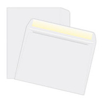 Quality Park; Open-Side Booklet Envelopes, 6 inch; x 9 inch;, White, Box Of 500