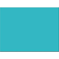 Riverside; Groundwood 100% Recycled Construction Paper, 18 inch; x 24 inch;, Blue Green, Pack Of 50