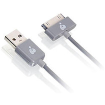 IOGEAR 6.5ft (2m) USB to 30-Pin Cable