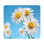 Allsop; Naturesmart Mouse Pad, 9 inch; x 10 inch;, Daisy
