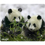Allsop; NatureSmart Mouse Pad, Panda