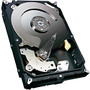 Seagate Barracuda ST250DM000 250 GB 3.5 inch; Internal Hard Drive