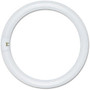 Satco T9 Circle Fluorescent Tube, White