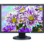 NEC Display MultiSync E223W-BK 22 inch; LED LCD Monitor - 16:10 - 5 ms