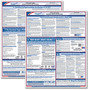 ComplyRight Federal Applicant Area Poster, Bilingual, 16 inch; x 20 inch;