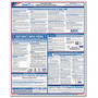 ComplyRight Federal Applicant Area Poster, English, 16 inch; x 20 inch;
