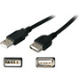 AddOn 3.05m (10.00ft) USB 2.0 (A) Male to Female Black Extension Cable