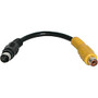 StarTech.com 6in S-Video to Composite Video Adapter Cable