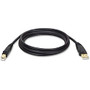 Tripp Lite U022-010 Gold USB 2.0 A/B Cable, 10 ft.