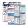 ComplyRight&trade; California Federal/State Labor Law Spanish Poster Kit, 39 1/2 inch; x 24 inch;