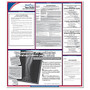 ComplyRight&trade; Puerto Rico State Labor Law Spanish Poster, 34 inch; x 24 inch;