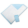 Protection Plus; Fluff-Filled Disposable Underpads, Economy, 23 inch; x 36 inch;, 25 Underpads Per Bag, Case Of 6 Bags
