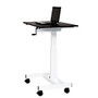 Luxor Single Column Crank Adjustable Stand Up Desk, 45 1/4 inch;H x 40 inch;W x 23 5/8 inch;D, Black/Silver