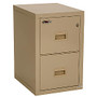 FireKing; Turtle; Insulated Fireproof Vertical Filing Cabinet, 2 Drawers, 27 3/4 inch;H x 17 3/4 inch;W x 22 1/8 inch;D, White Glove Delivery