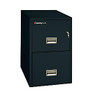 Sentry;Safe FIRE-SAFE; 2-Drawer Vertical File Cabinet, 27 9/16 inch;H x 16 5/8 inch;W x 31 inch;D, Black