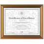 Dax Antique-Colored Certificate Frame - 11 inch; x 8.50 inch; Frame Size - Rectangle - Desktop, Wall Mountable - Horizontal, Vertical - Antique Gold